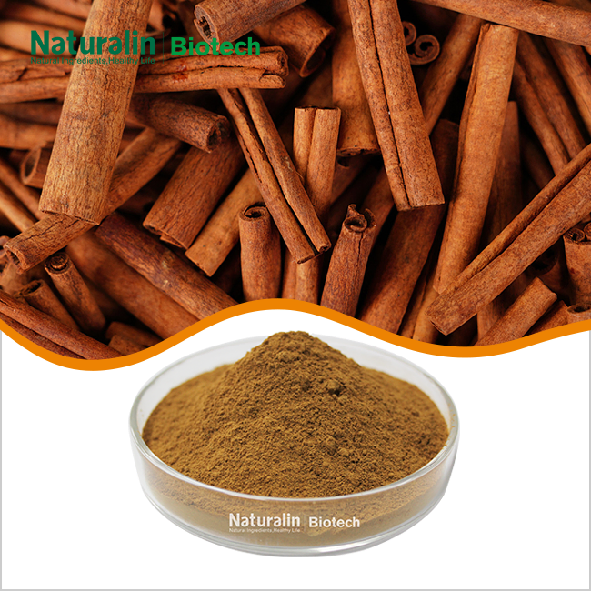 Cinnamon Bark Extract